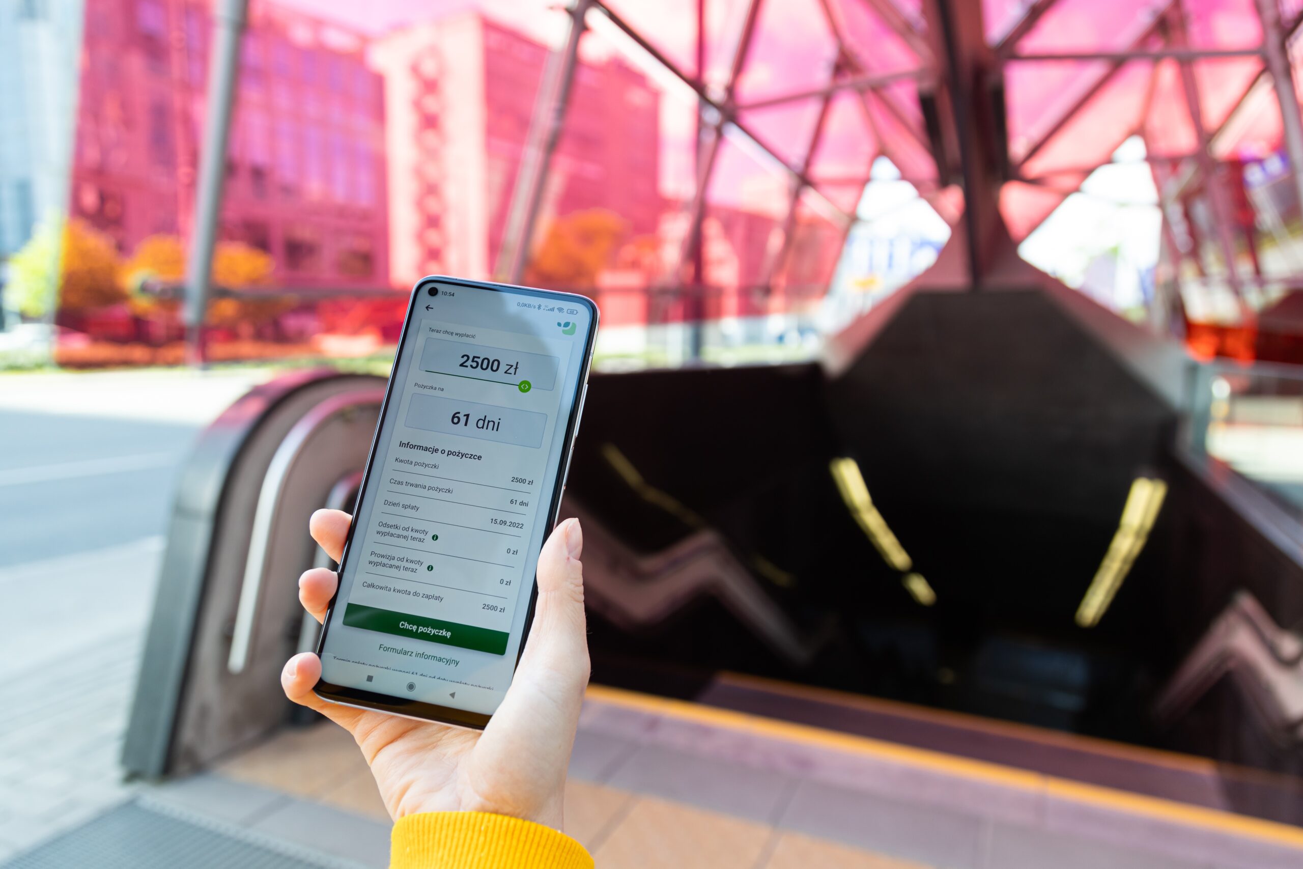 Understanding Payday Loans: A Guide to Responsible Borrowing a hand holding a phone