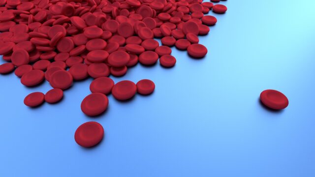 Photo by Vector8DIY red blood cell, science, vessel