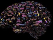 Chat GPT Limitations: Exploring the Boundaries of AI Conversation brain, mind, mindfulness