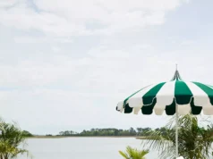 15 Best Pool Lounge Chairs to Upgrade Your Backyard This Summer