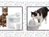 9 Best Cat Water Fountains of 2024 9 Best Cat Water Fountains of 2024