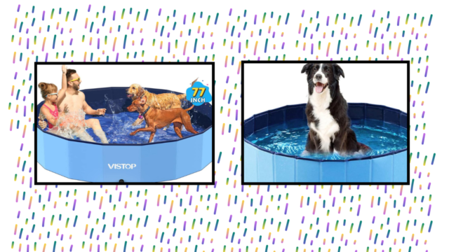 9 Best Dog Swimming Pools for Endless Fun in the Sun With Your Pup 9 Best Dog Swimming Pools for Endless Fun in the Sun With Your Pup