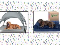 The 8 Best Cooling Dog Beds of 2024 The 8 Best Cooling Dog Beds of 2024