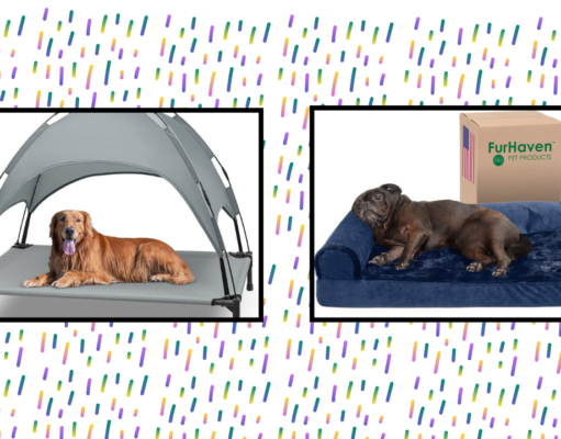 The 8 Best Cooling Dog Beds of 2024 The 8 Best Cooling Dog Beds of 2024