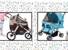 The 8 Best Dog Strollers of 2024 The 8 Best Dog Strollers of 2024