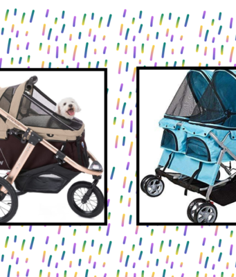 The 8 Best Dog Strollers of 2024 The 8 Best Dog Strollers of 2024