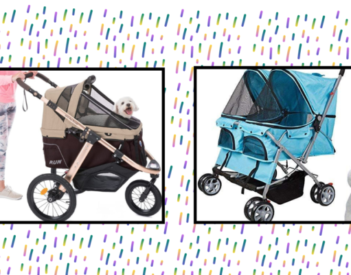 The 8 Best Dog Strollers of 2024 The 8 Best Dog Strollers of 2024