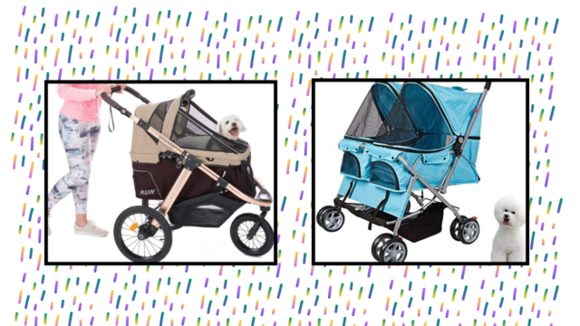 The 8 Best Dog Strollers of 2024 The 8 Best Dog Strollers of 2024